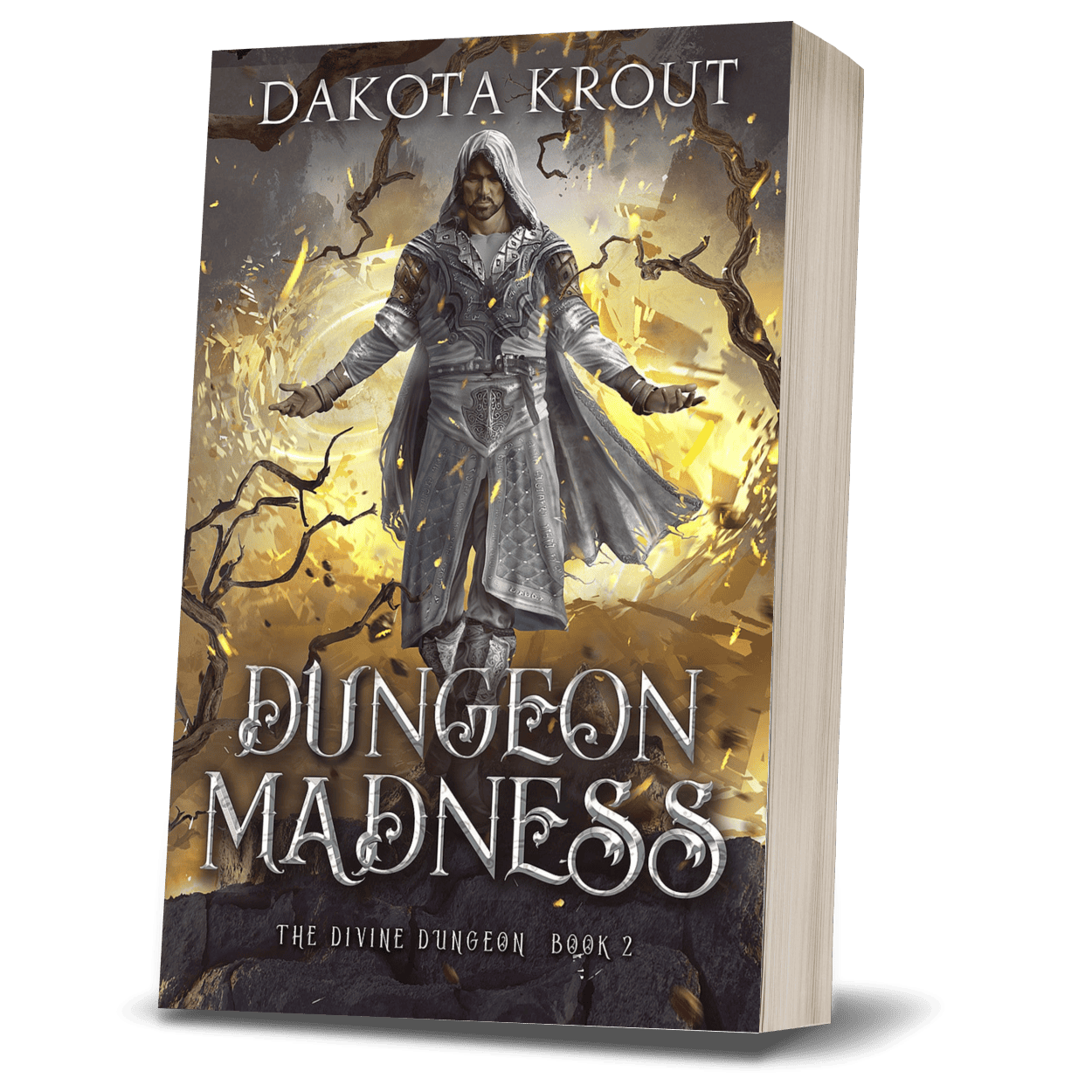 Dungeon Madness | Book 2 of 5 in The Divine Dungeon